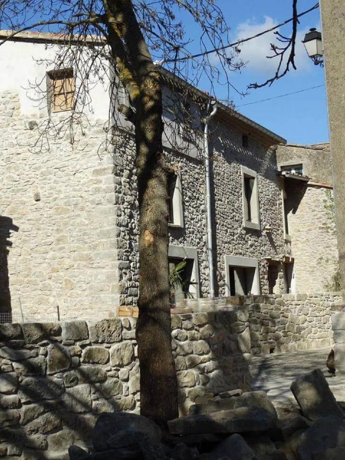 Villa Misanid Ecrin De Verdure A 15Mm De La Cite De Carcassonne Mas-des-Cours Bagian luar foto